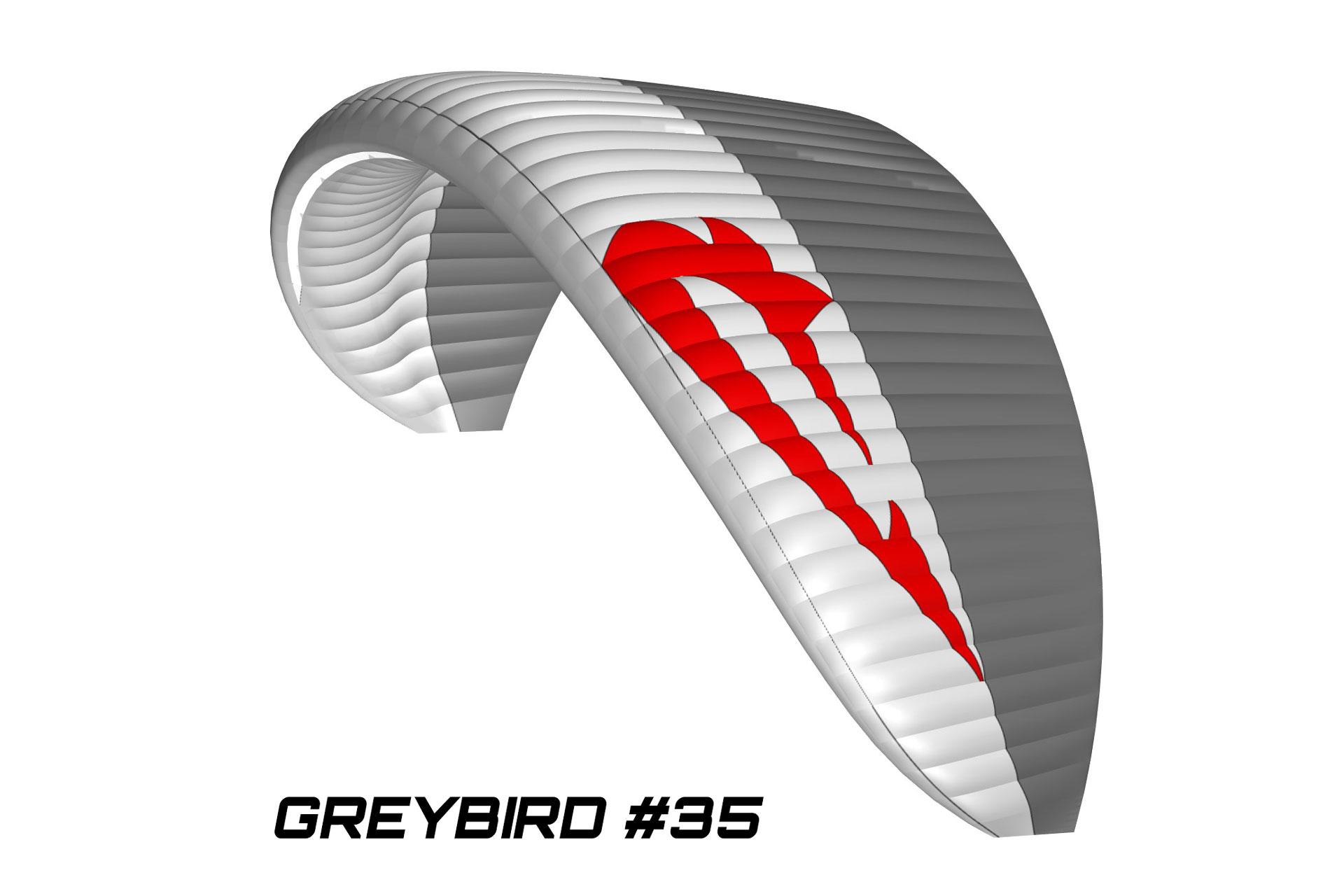 Hybrid Paramotor