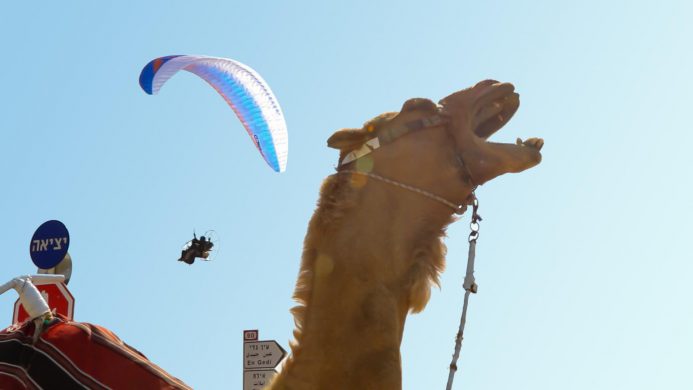 Hybrid Tandem Paramotor